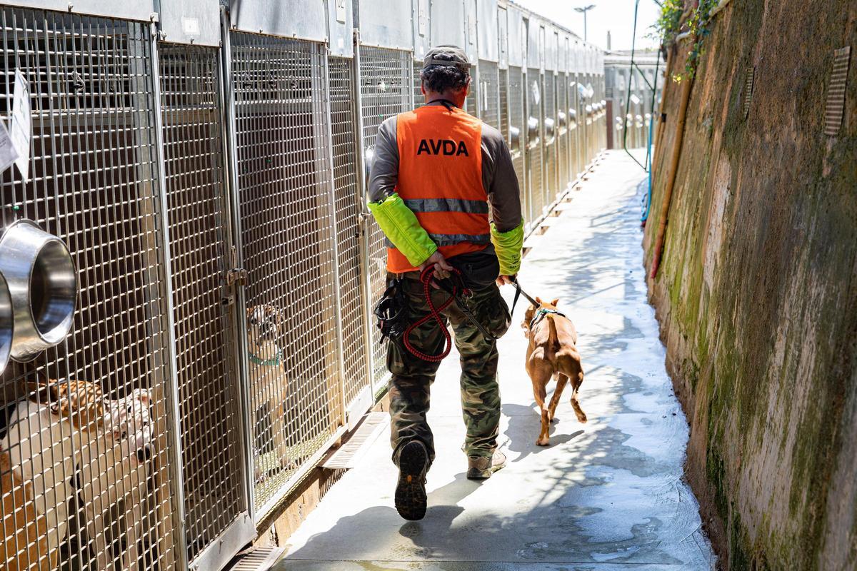 Vaga al centre d’animals de Barcelona per l’aglomeració de mascotes i la falta de personal