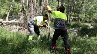 Alcoy acelera la recuperación de un emblemático enclave natural