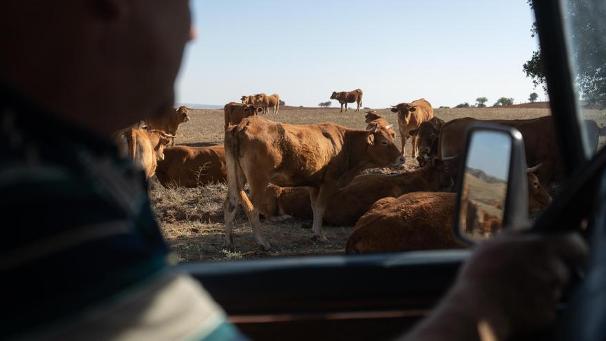 GALERÍA | Un año en imágenes: Las mejores fotografías del 2023 en Zamora