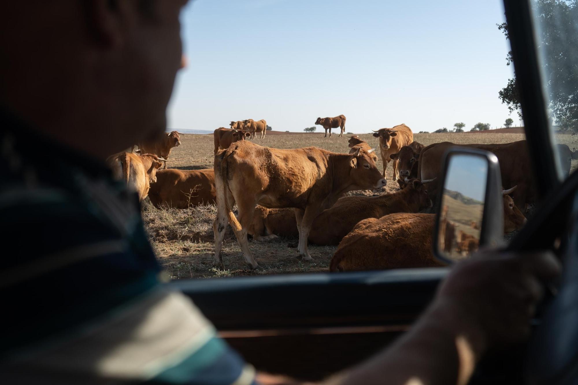 GALERÍA | Un año en imágenes: Las mejores fotografías del 2023 en Zamora