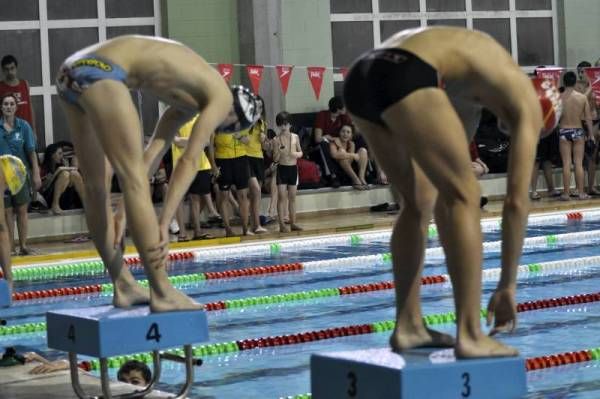 Trofeo San Silvestre El Olivar de natación