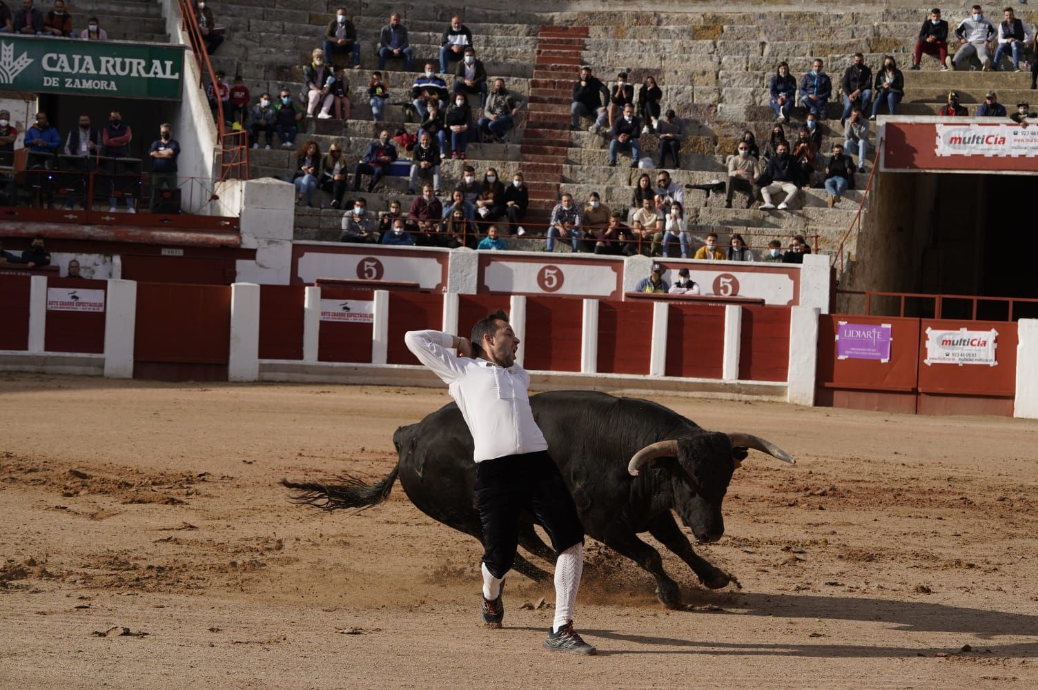 Concurso de Cortes Zamora 2021