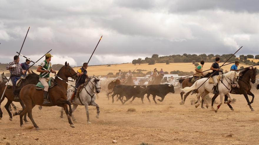 Fin de fiestas taurino en Carbajales