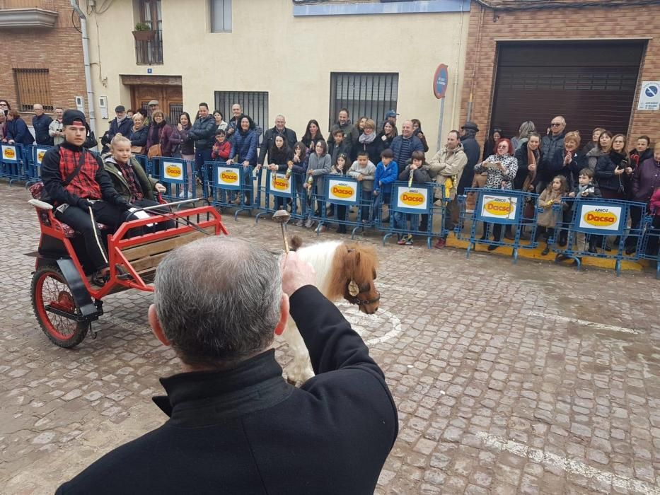 Bendición de animales en el barrio del Roca-Cuiper de Foios-Meliana.