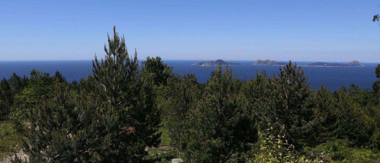 Un monte vecinal próximo a la costa.