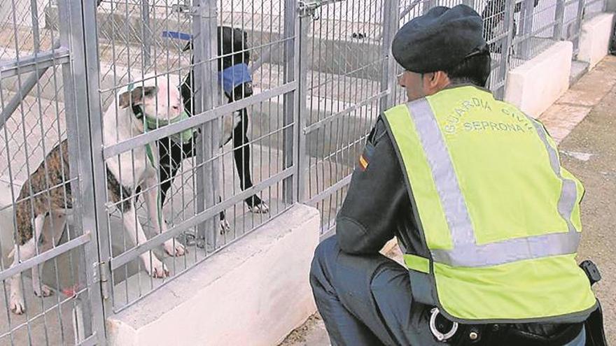 Un hombre muere por el ataque de 5 perros de raza peligrosa