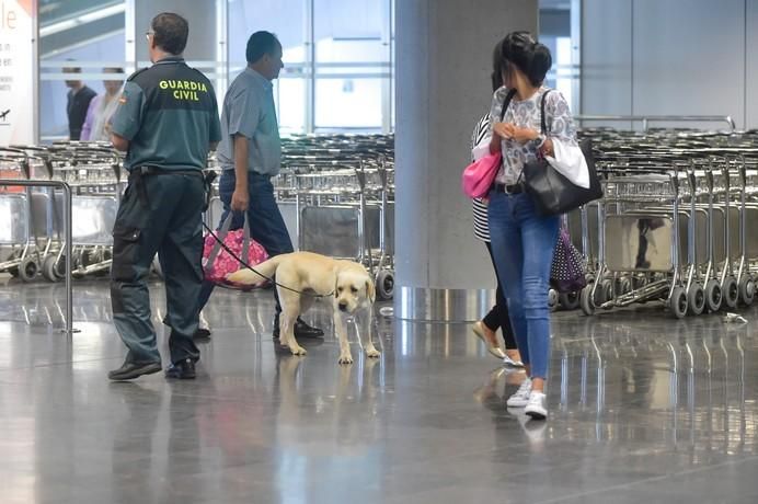 REPORTAJE UNIDAD CANINA AEROPUETO DE GRAN CANARIA