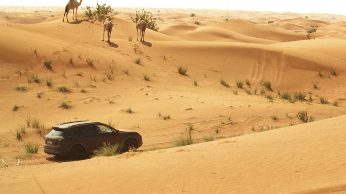 Pruebas del nuevo Porsche Cayenne