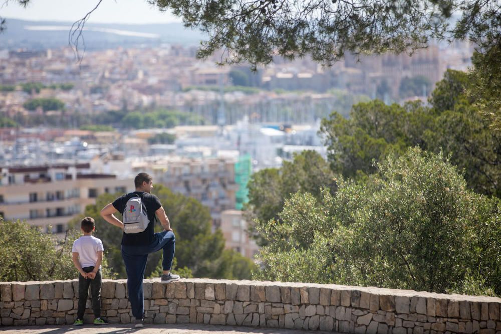 Die Parks in Palma de Mallorca sind wieder geöffnet