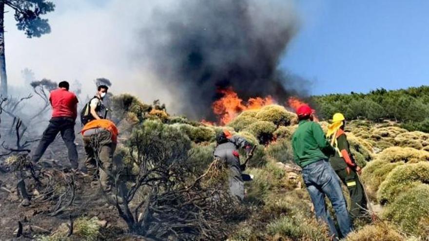 El viento y las altas temperaturas complican la extinción del incendio forestal de Sotillo de la Adrada