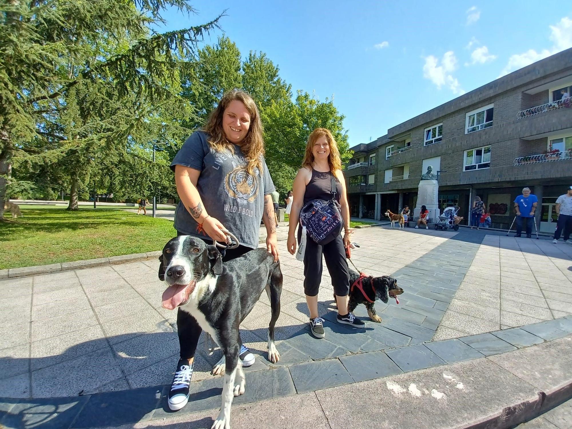 Desfile de perros en Llanera: así fue el concurso popular de canes