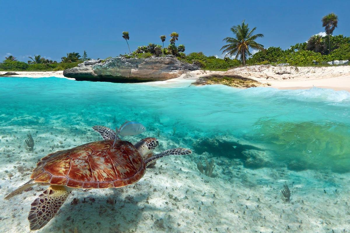 Playa del Carmen, México