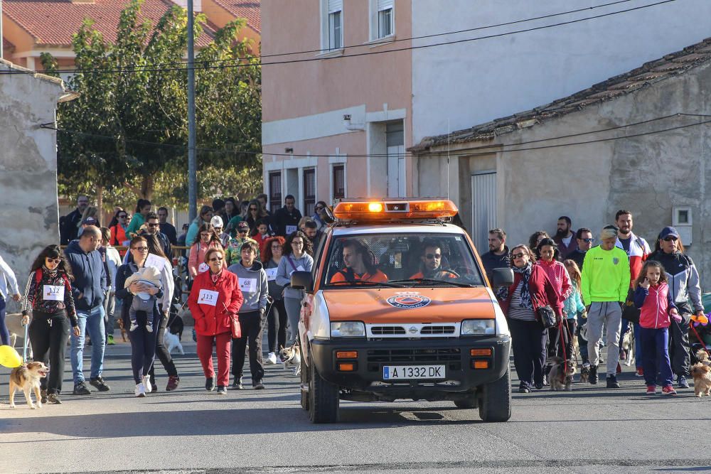 Almoradí celebra su primera Caminata Solidaria con animales