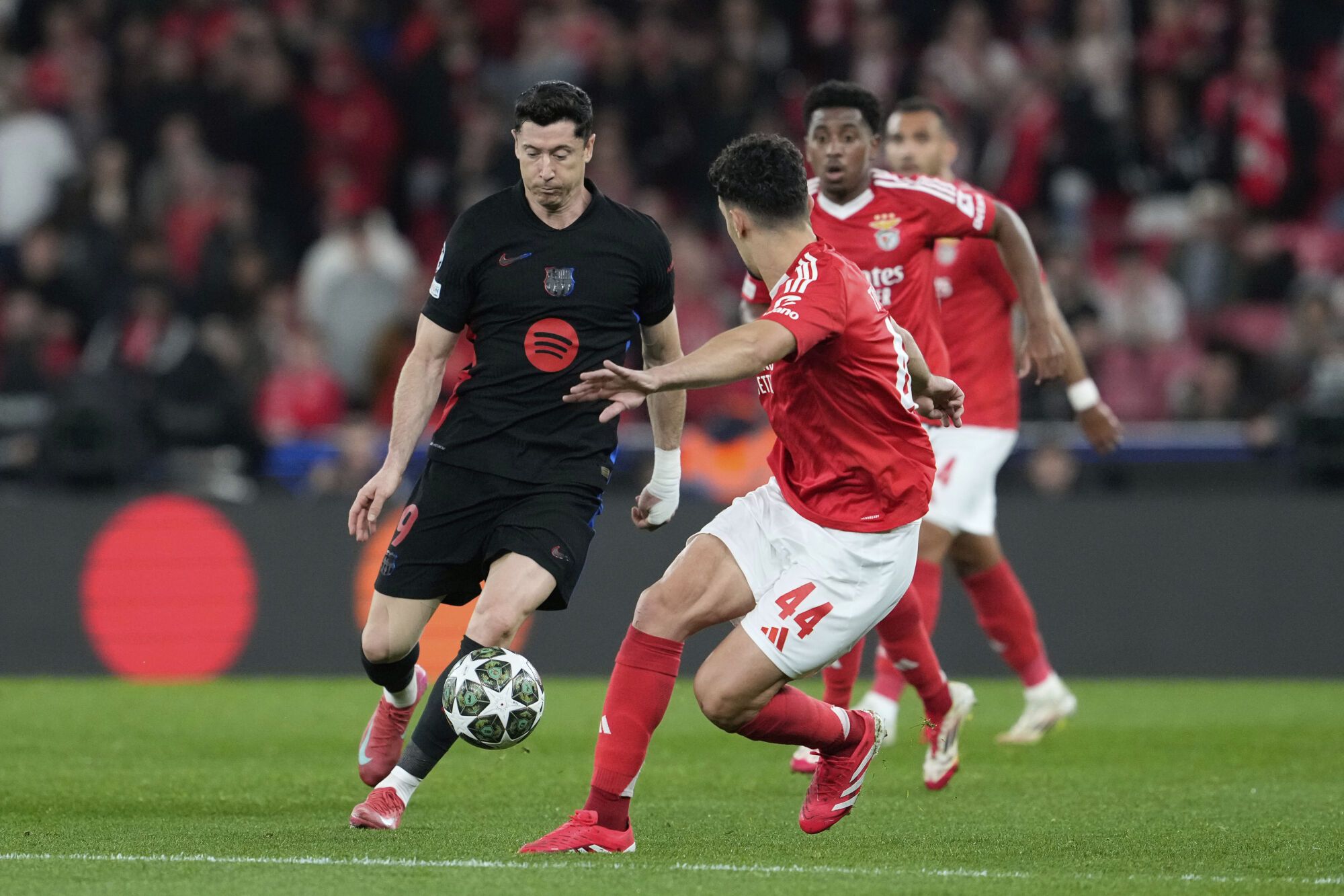 Barcelona's Robert Lewandowski, left, runs with the ball past Benfica's Tomas Araujo during the Champions League round of 16 first leg soccer match between SL Benfica and FC Barcelona at the Luz stadium in Lisbon, Wednesday, March 5, 2025. (AP Photo/Armando Franca). EDITORIAL USE ONLY / ONLY ITALY AND SPAIN