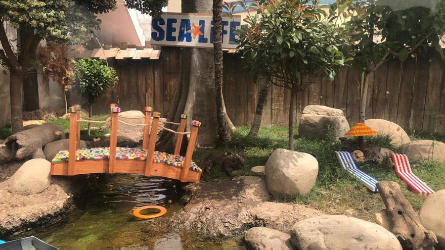 Parque acuático de nutrias en Sea Life (Benalmádena)