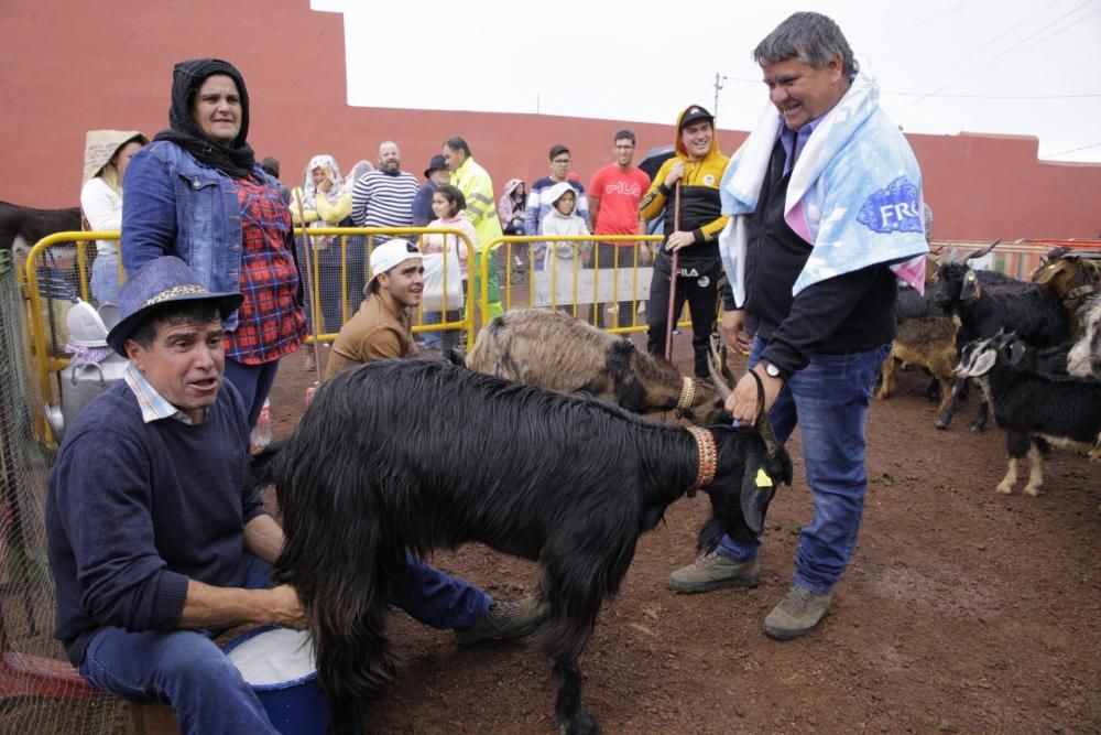 Octava Ganadera de La Matanza