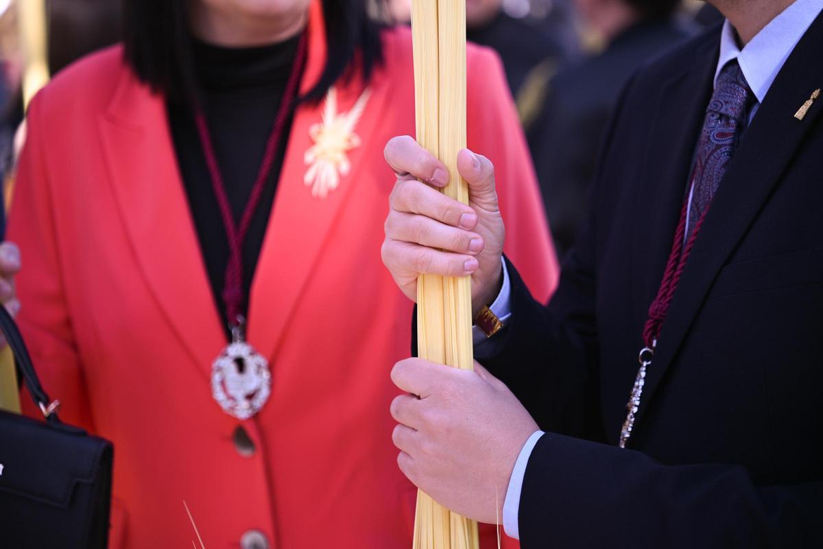 Las mejores imágenes del Domingo de Ramos en Elche