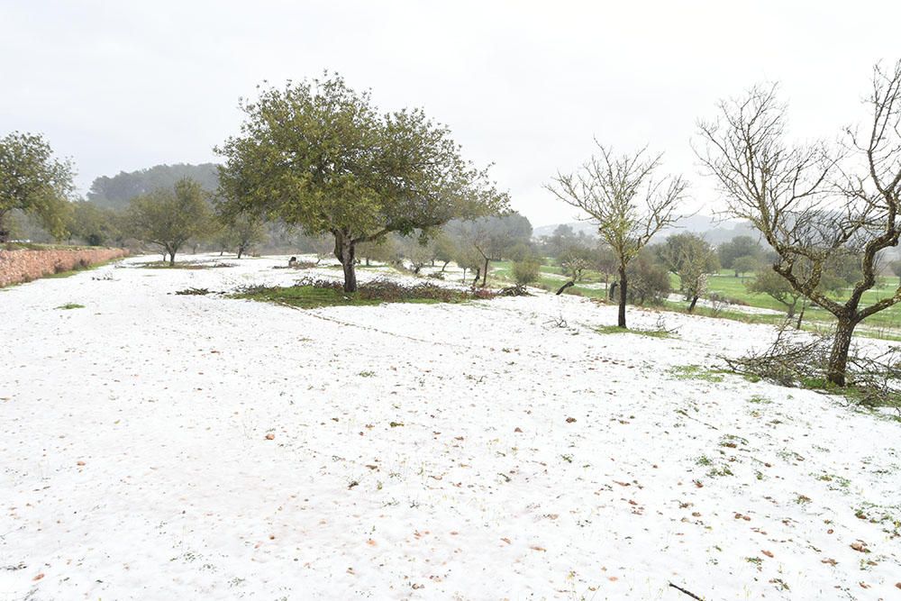 Nieve en Sant Miquel (Ibiza)