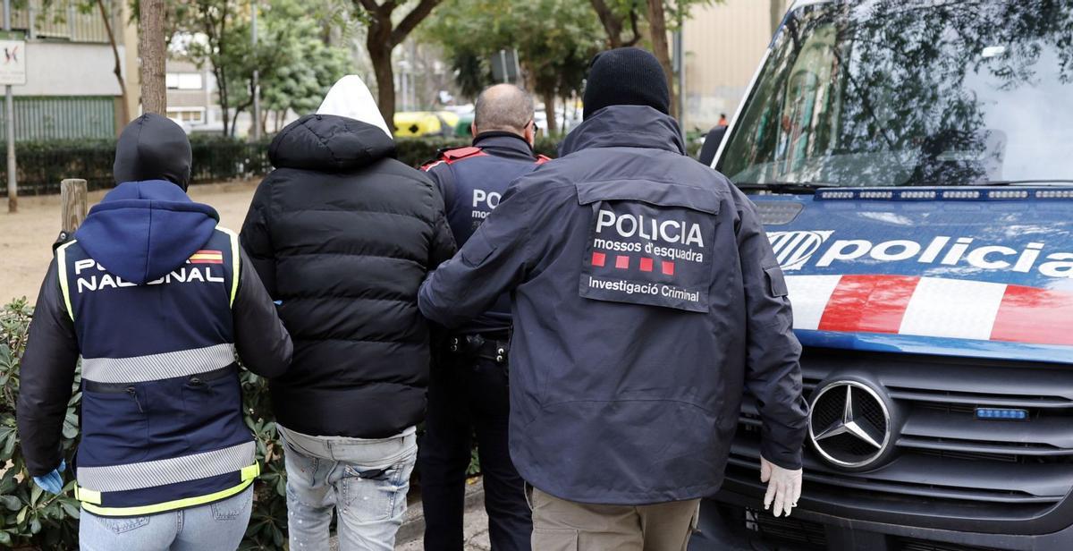 Les bandes llatines viren cap al crim organitzat