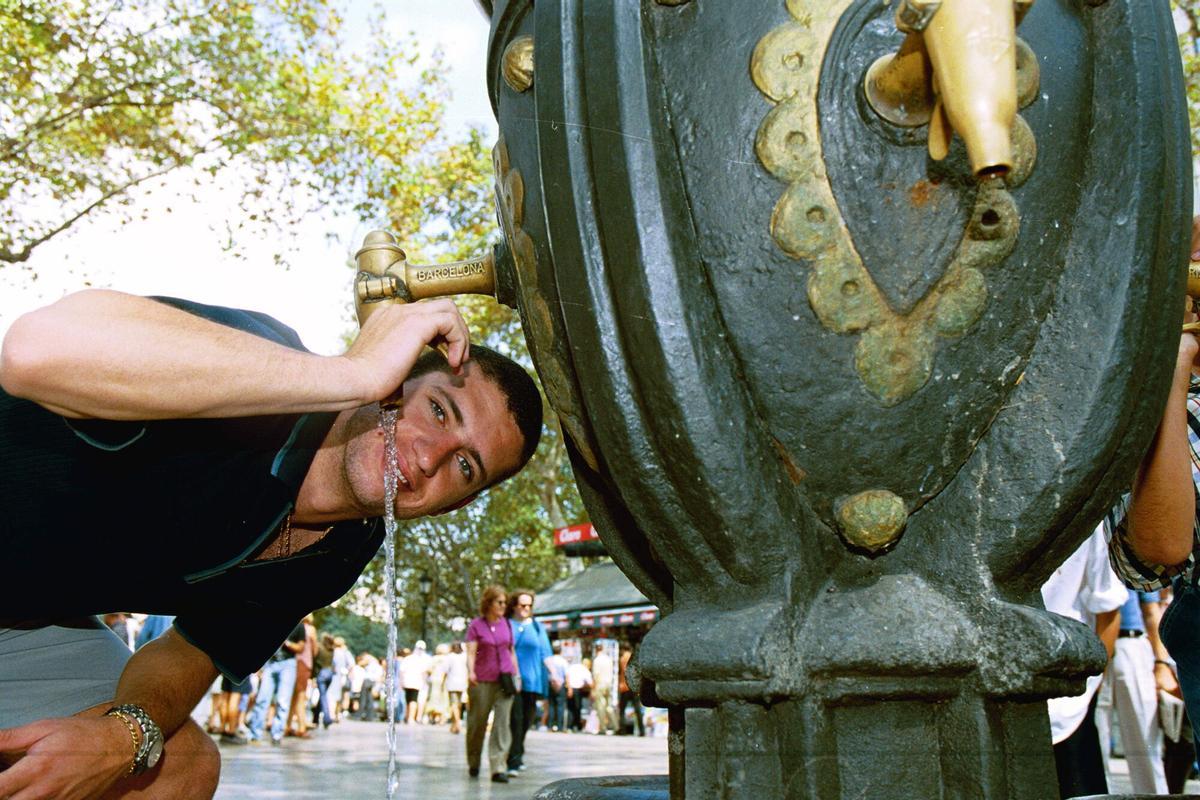 Rocheback bebiendo en la font de Canaletes