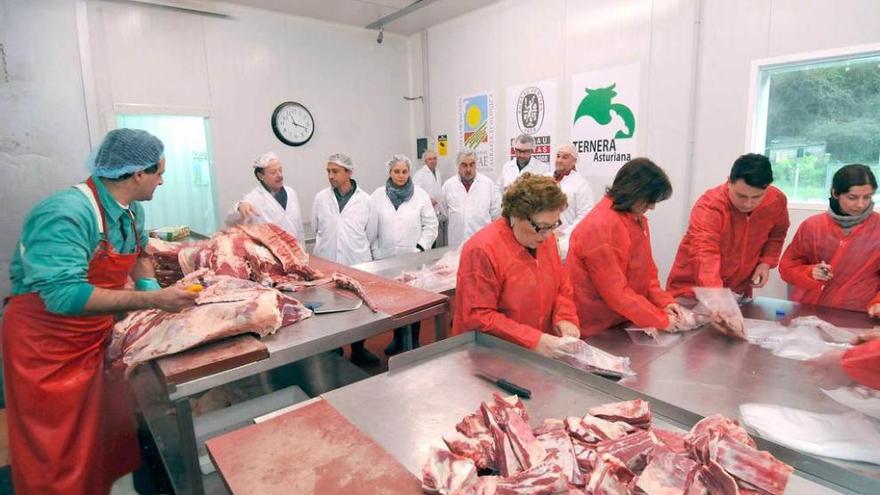 Los participantes en la visita al macelo de Mieres, en una sala de despiece.