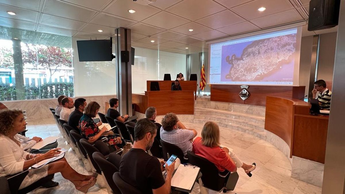 La reunión de la Comisión de Movilidad del Consell de Ibiza