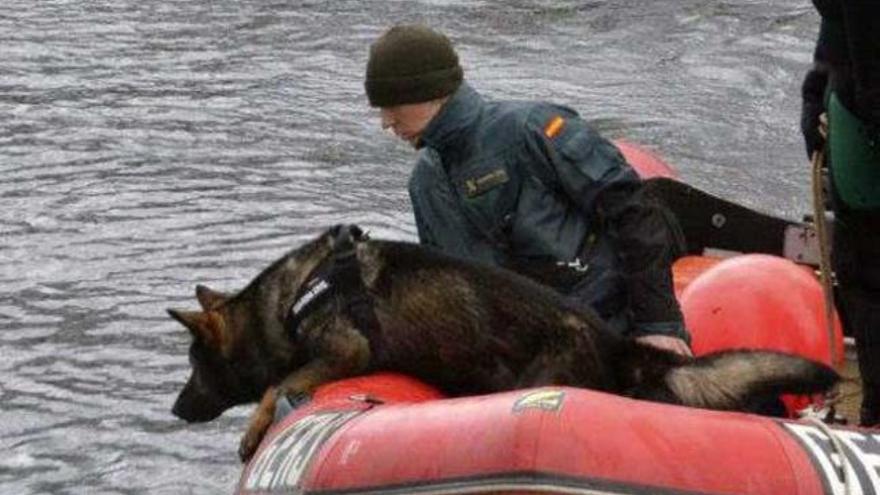 Olfato canino para encontrar cadáveres sumergidos