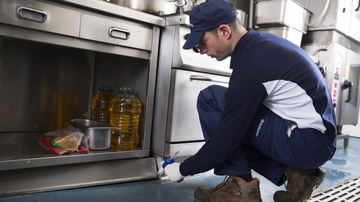 Anticimex ofrece tratamientos preventivos y programas de seguimiento y control de plagas.