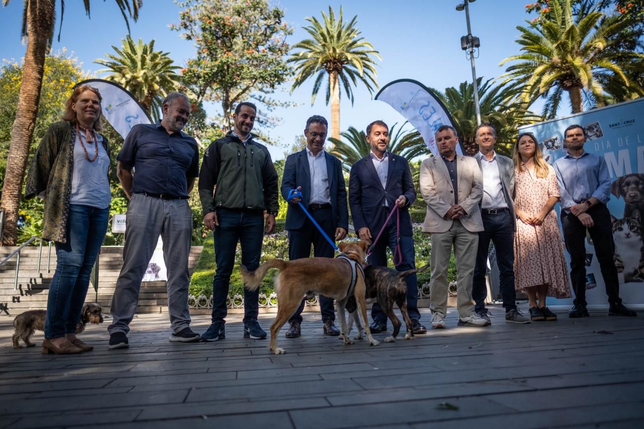 Presentación de las actividades del Día de los Animales Santa Cruz