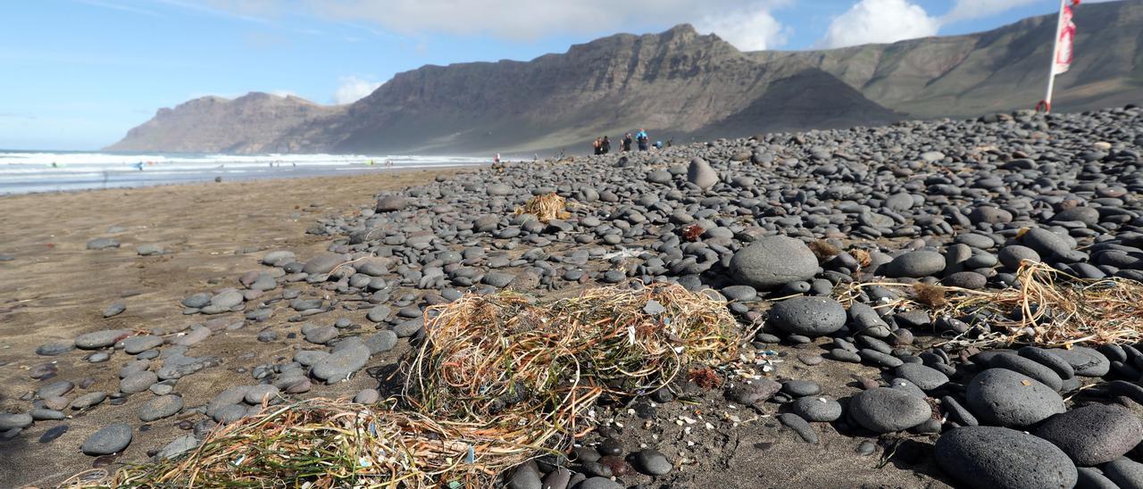Los microplásticos llegan a la costa de Famara (Lanzarote) cargados con hasta 81 contaminantes