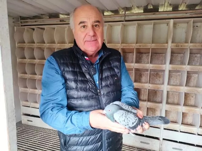 El compostelano de las mil palomas mensajeras: "Solté una en Barcelona y regresó a Santiago"