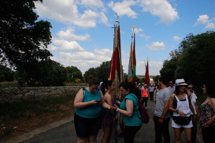 Romería de la Virgen del Castillo en Fariza