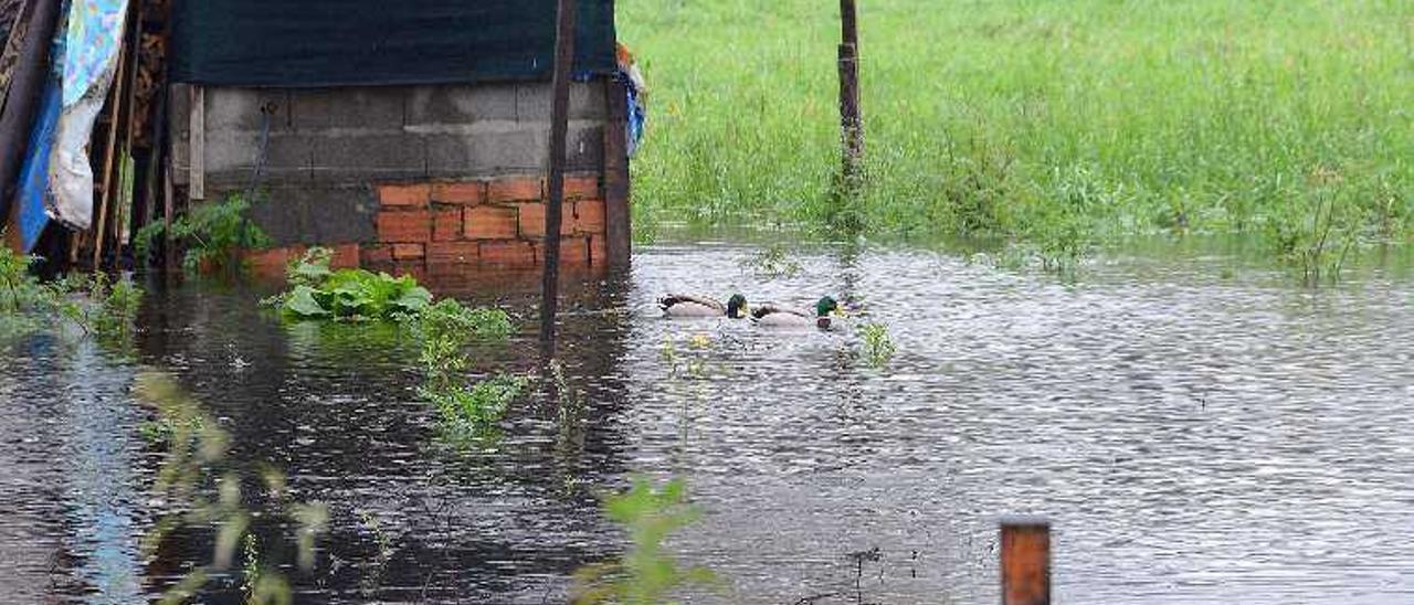 Una finca inundada este martes, en Portomaior. // G. Núñez