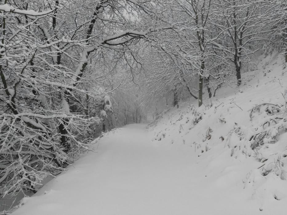 La neu fa acte de presència a l''Alt Empordà