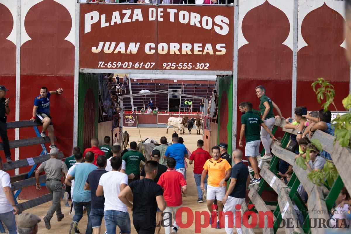 Primer encierro de la Feria del Arroz de Calasparra