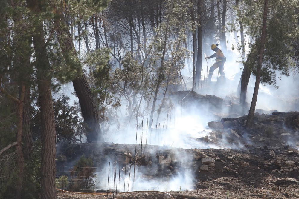 Incendio forestal en Sant Antoni