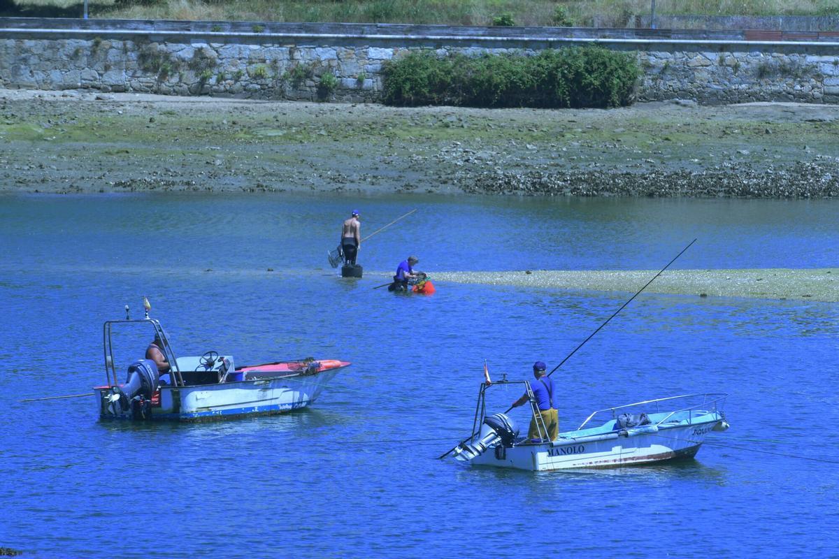 Mariscadores en la ría del Burgo