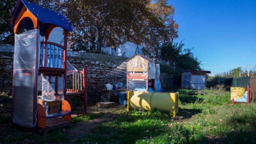 Colonia felina de la protectora y el Ayuntamiento de Mislata.