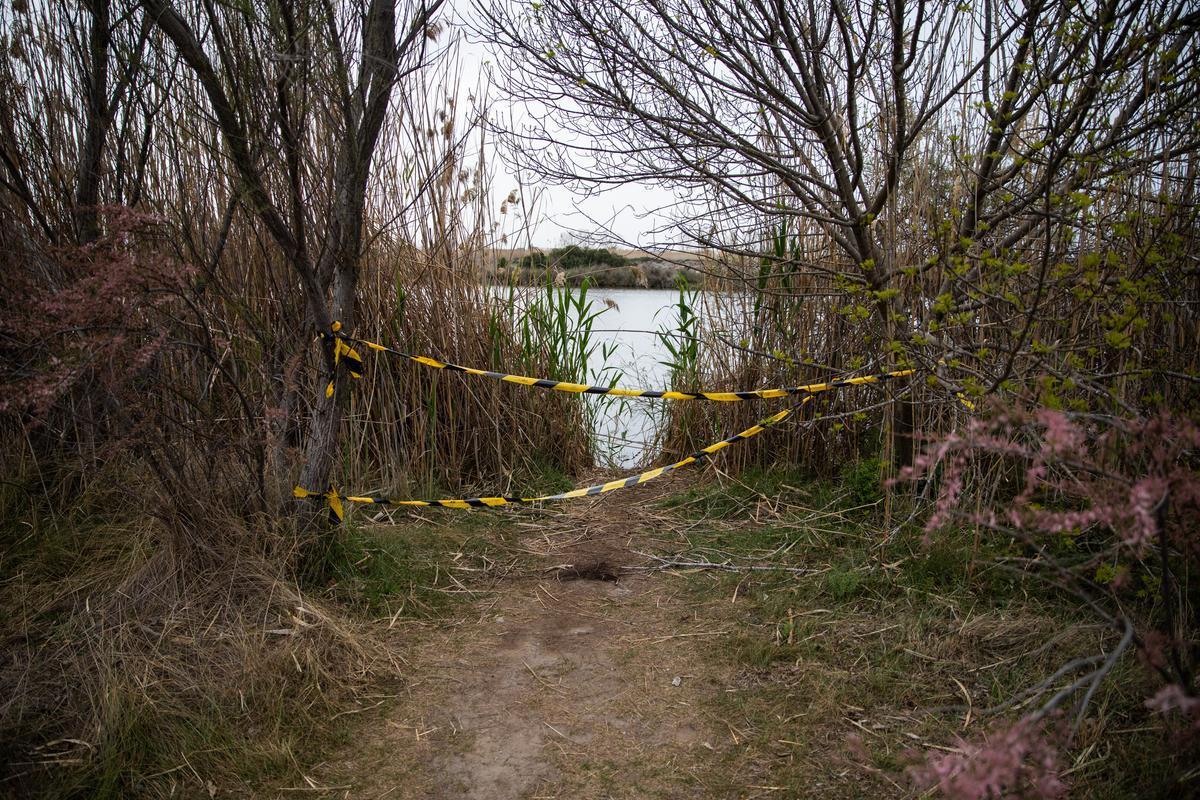 Crit d’auxili del delta del Llobregat: el 90% de les basses estan contaminades