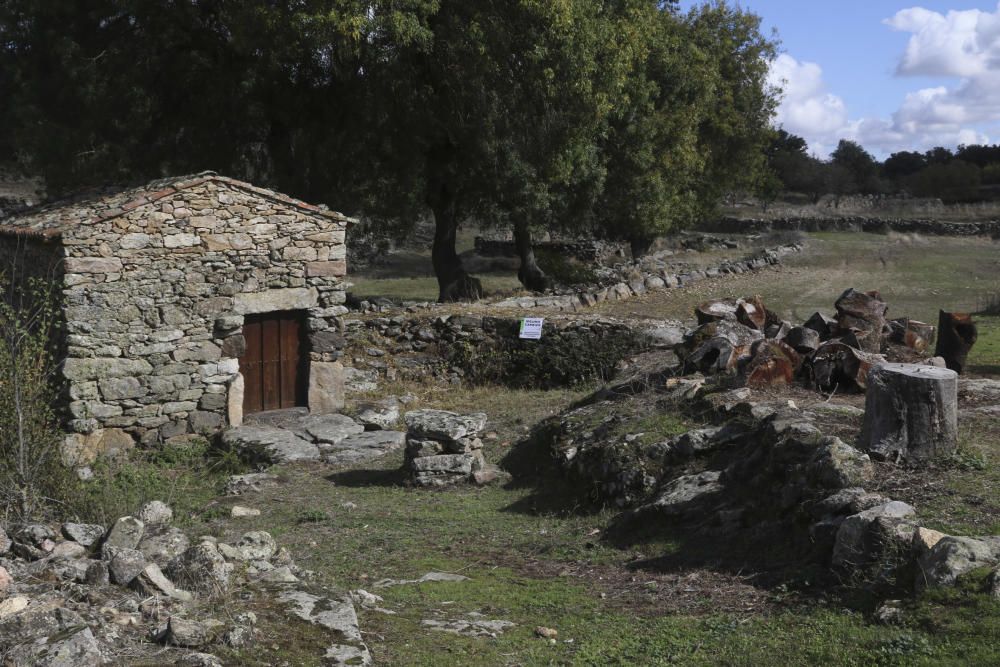 Zamora DesAparece | Badilla de Sayago, más que una ventana a Portugal