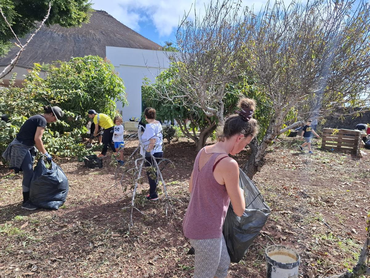 La comunidad educativa del CEIP César Manrique Cabrera adecenta el gran jardín del centro