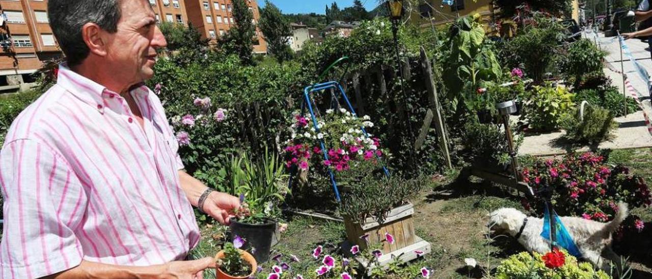 Alejandro Botrán, en su peculiar jardín.