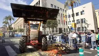 Los agricultores vuelven a manifestarse en Murcia el lunes 29