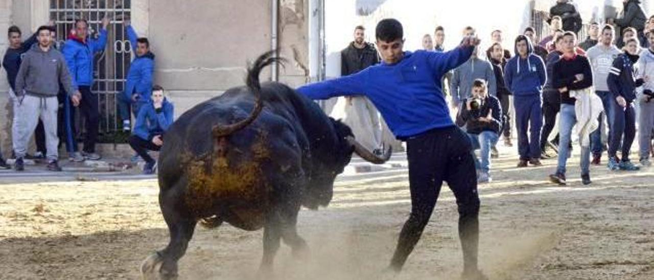 El Bou de Pasqua de Benifairó cumple 5 años