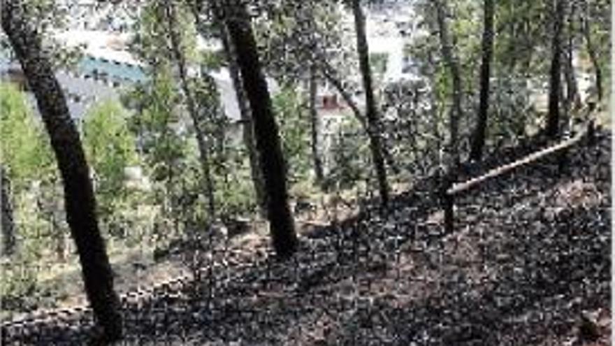 Una petita part de bosc cremada en un foc a Sant Fruitós, el juny