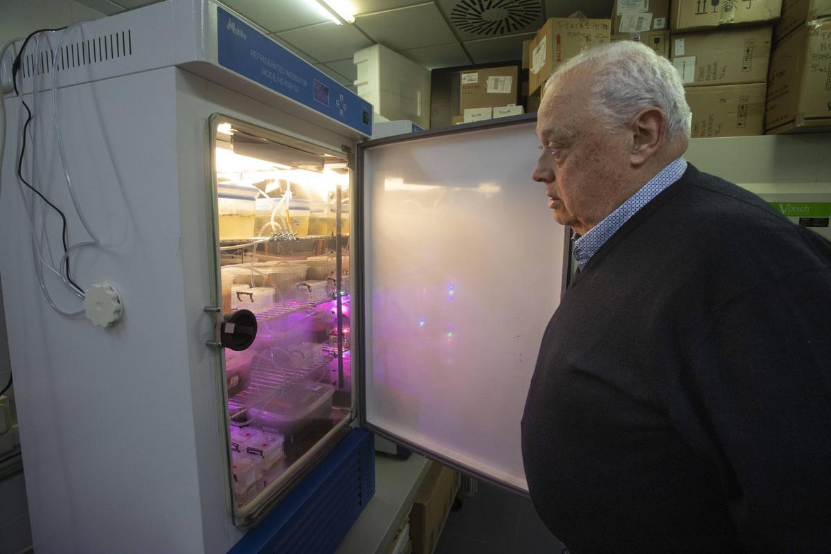 El catedrático Santiago Mas busca una muestra en el laboratorio de la UV.