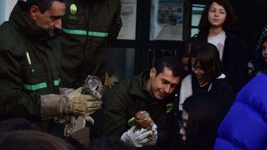 Agentes y niños liberan dos cárabos en el Monte Gándara