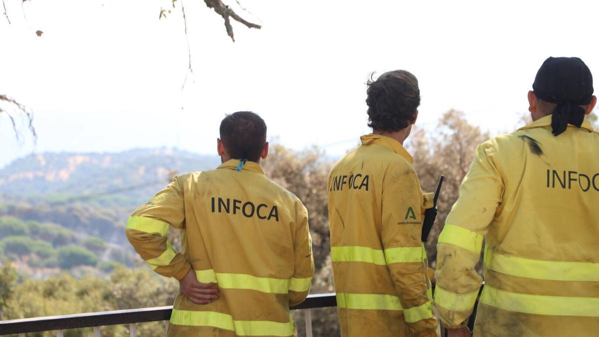Bomberos del Infoca trabajan en Córdoba, en una imagen de este verano.