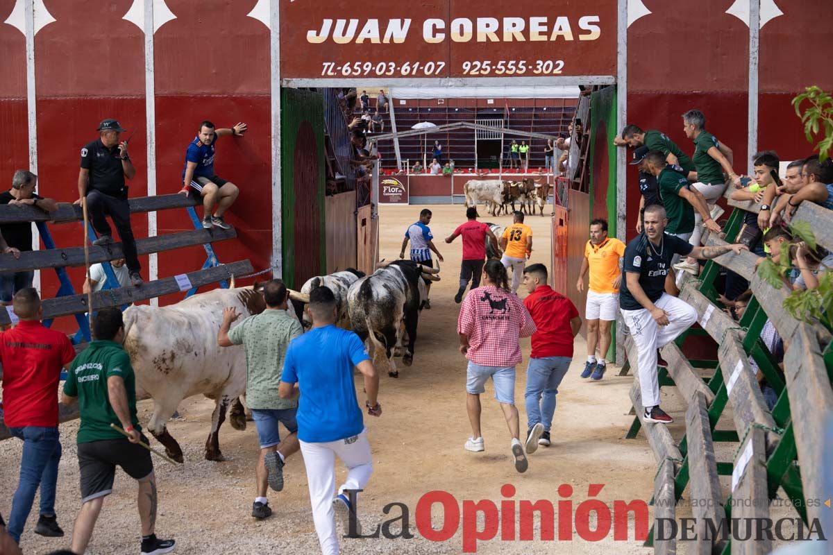 Primer encierro de la Feria del Arroz de Calasparra