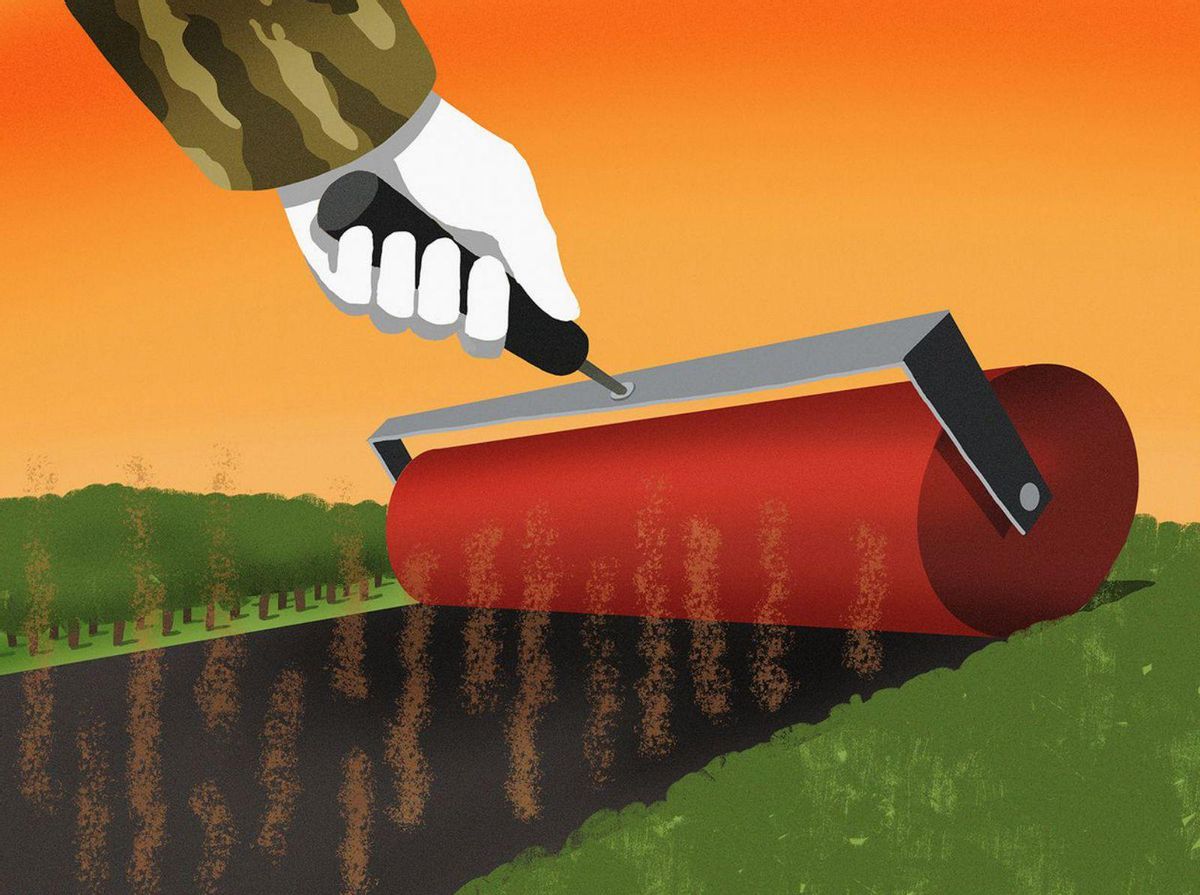 Gaza: l’ecocidi